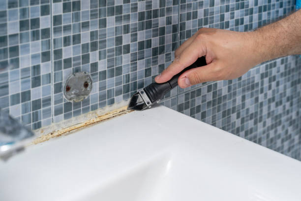 Best Toxic Mold Removal  in Clearwater, FL